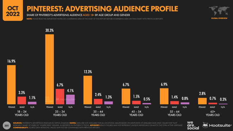 Audiense blog - Pinterest, profil d'audience publicitaire