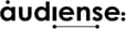 audiense_logo__Confidentiel__pdf