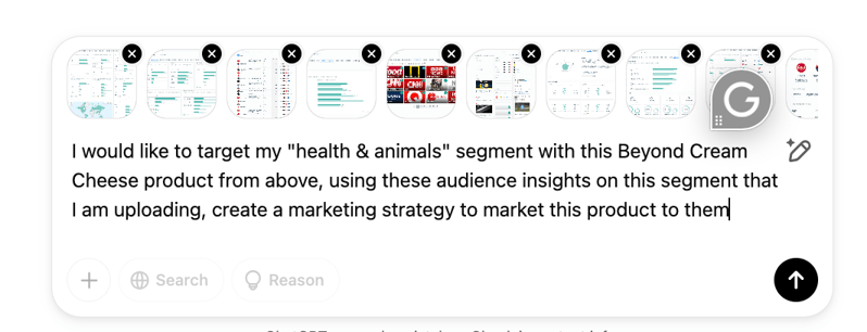 Audiense blog - image - ChatGPT prompt Health & Animals segment from Beyond Meat audience