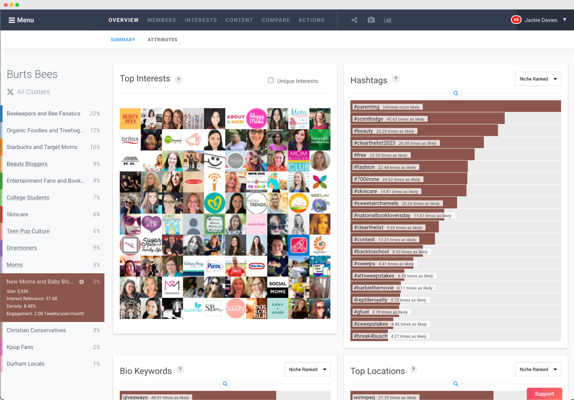 Image du rapport d'audience de Burts Bees dans la plateforme Affinio