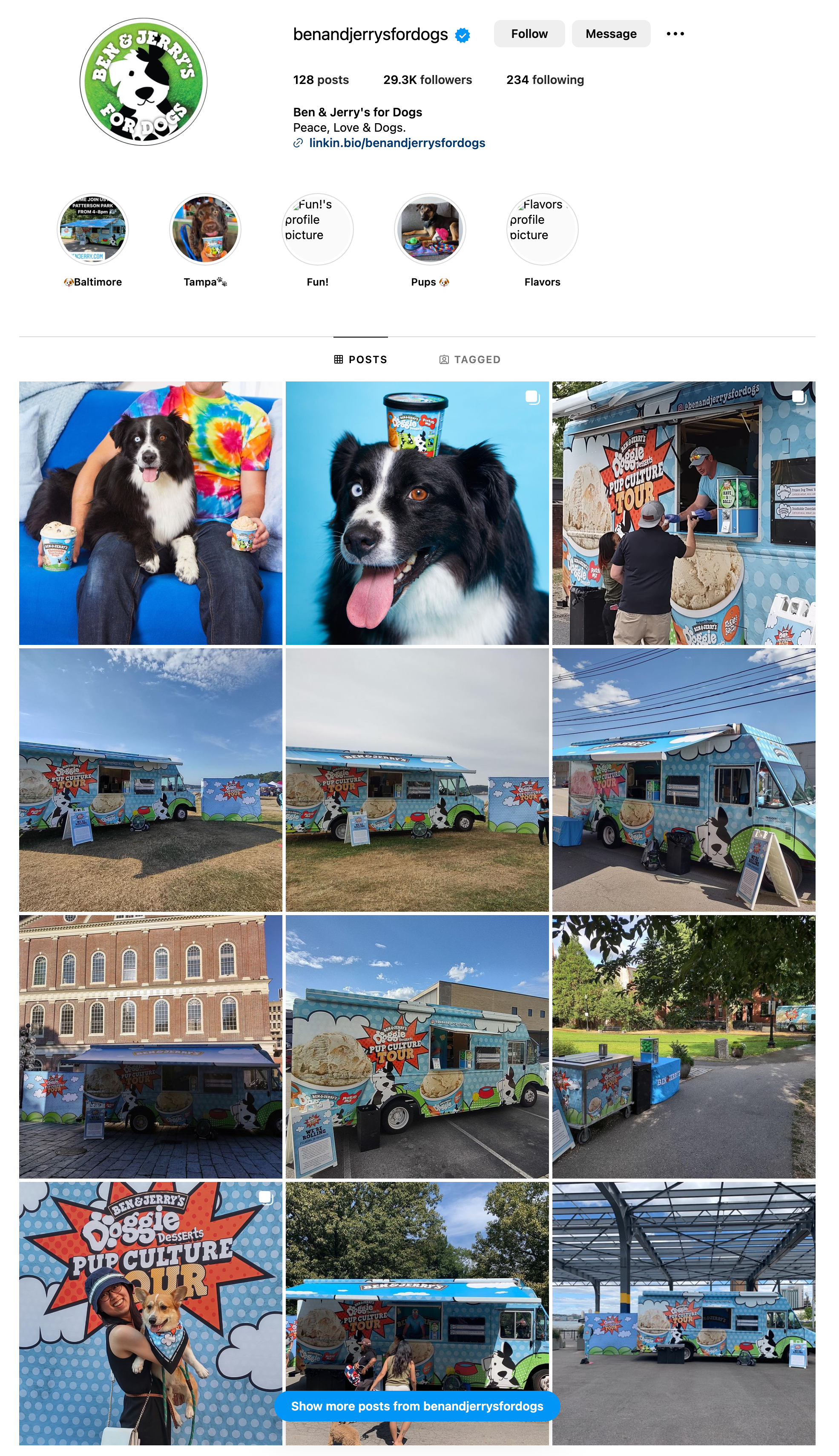 Audiense blog - Ben & Jerry's for Dog - Compte Instagram
