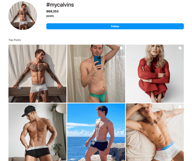 Audiense blog - Campagne #mycalvins