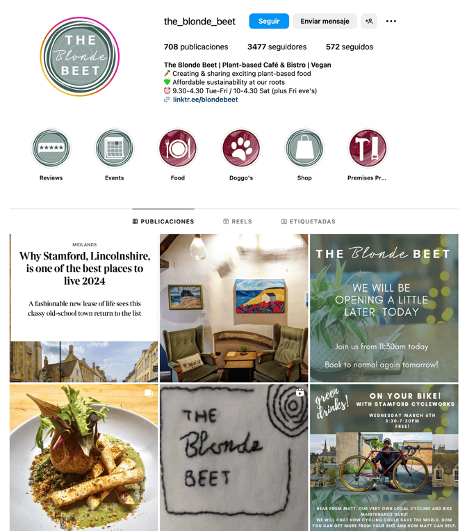 Audiense blog - the_blonde_beet Instagram profile 